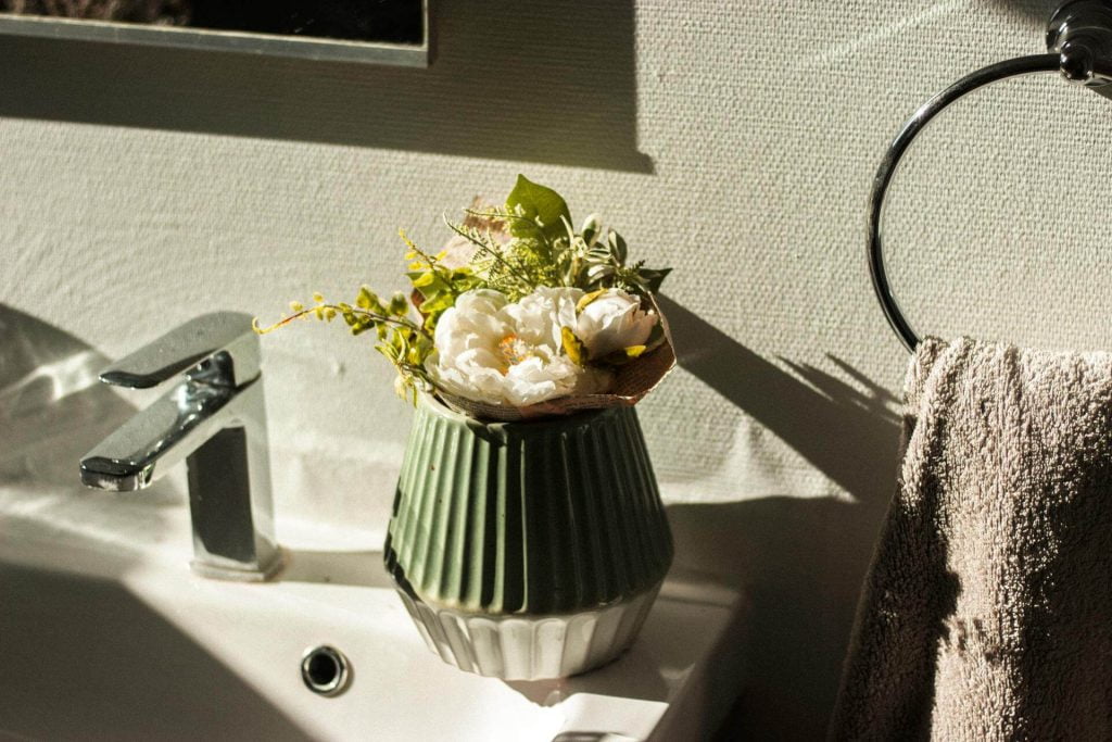 Bathroom Plant