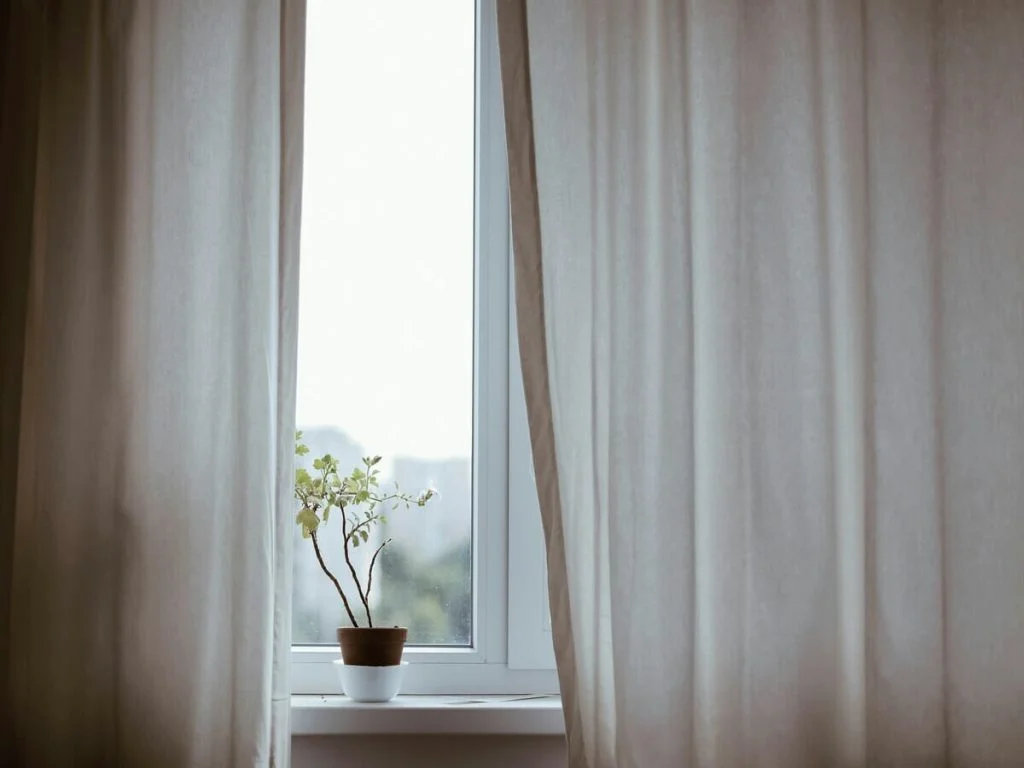 Bringing the Outdoors In The Role of Plants in Home Décor