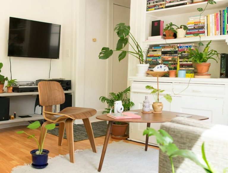 Indoor Plants Boost Mental Well-Being