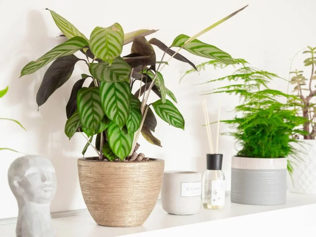 Natural Materials The Backbone of Nature Décor
