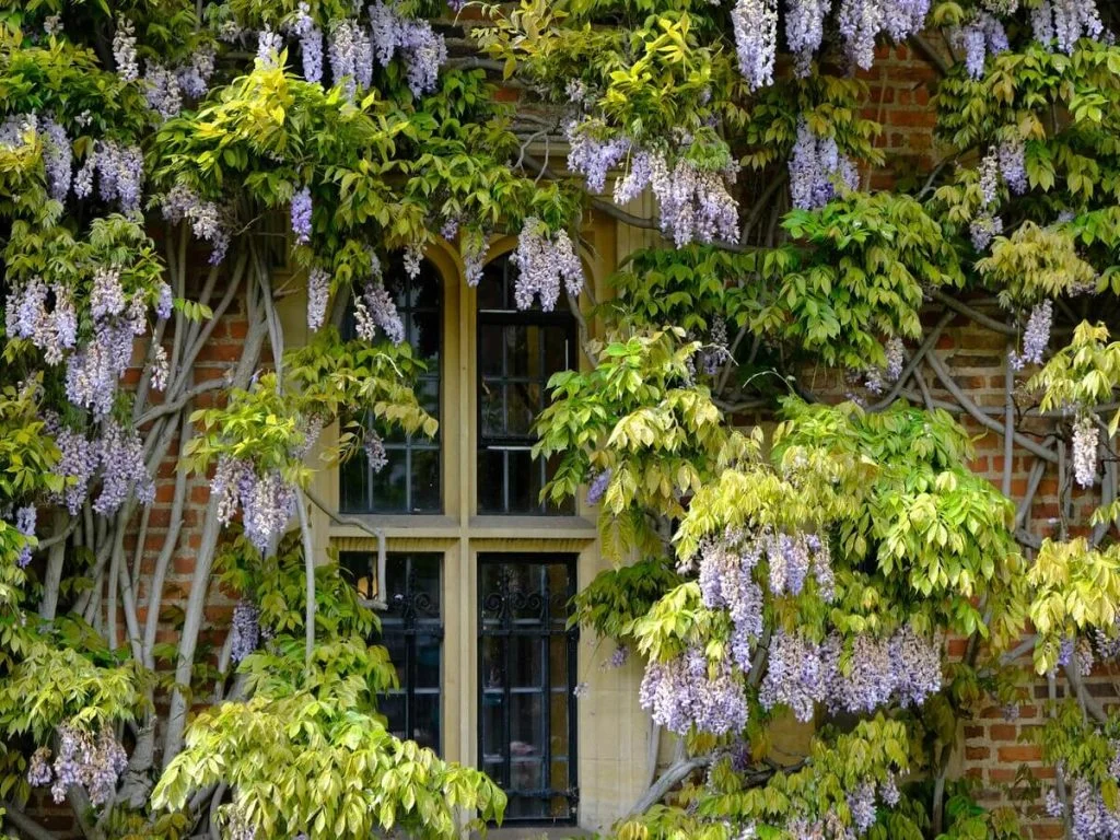 Nature Décor Inspiration How to Design a Nature-Inspired Home