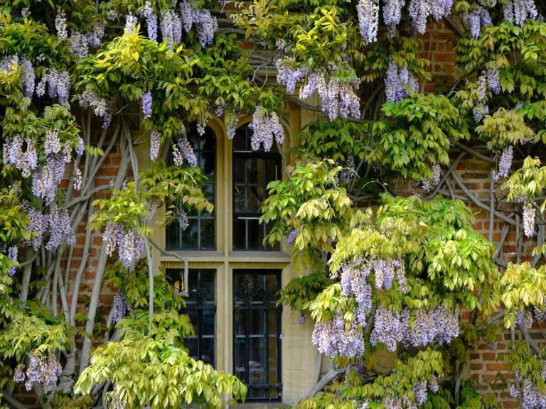 Nature Décor Inspiration How to Design a Nature-Inspired Home