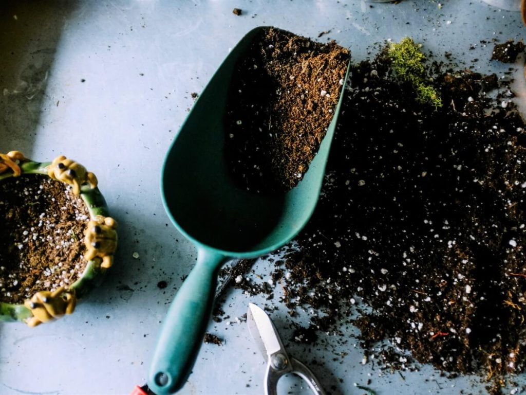 Soil for Indoor Plants