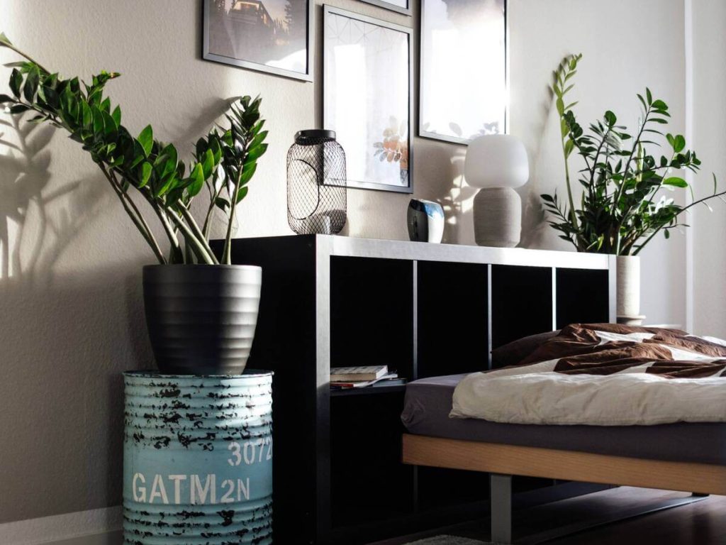 Industrial Organic Bedroom with Clean Lines and Greenery Touches