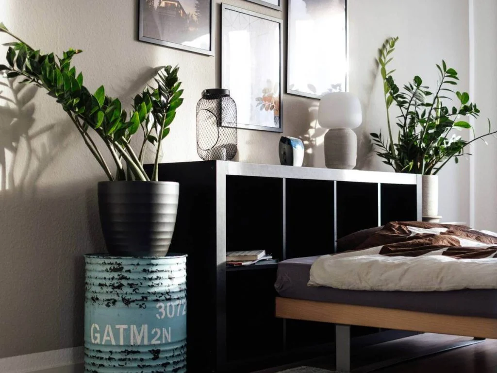 Industrial Organic Bedroom with Clean Lines and Greenery Touches