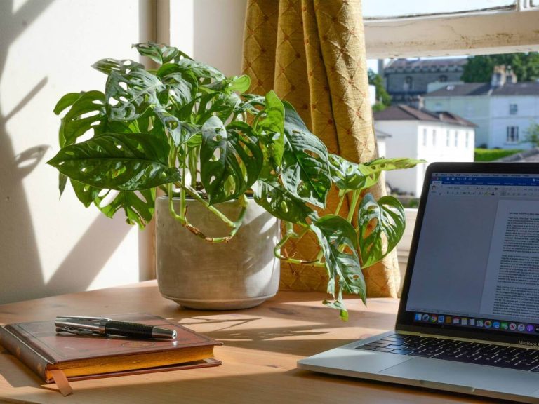 Sunlit Bedroom Desk with Indoor Greenery