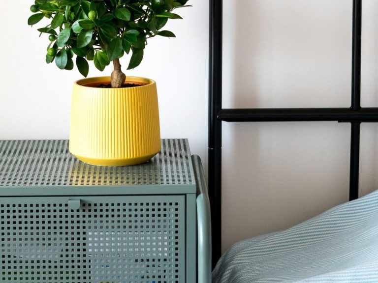 A cozy bedroom corner with smart styling and slimline storage